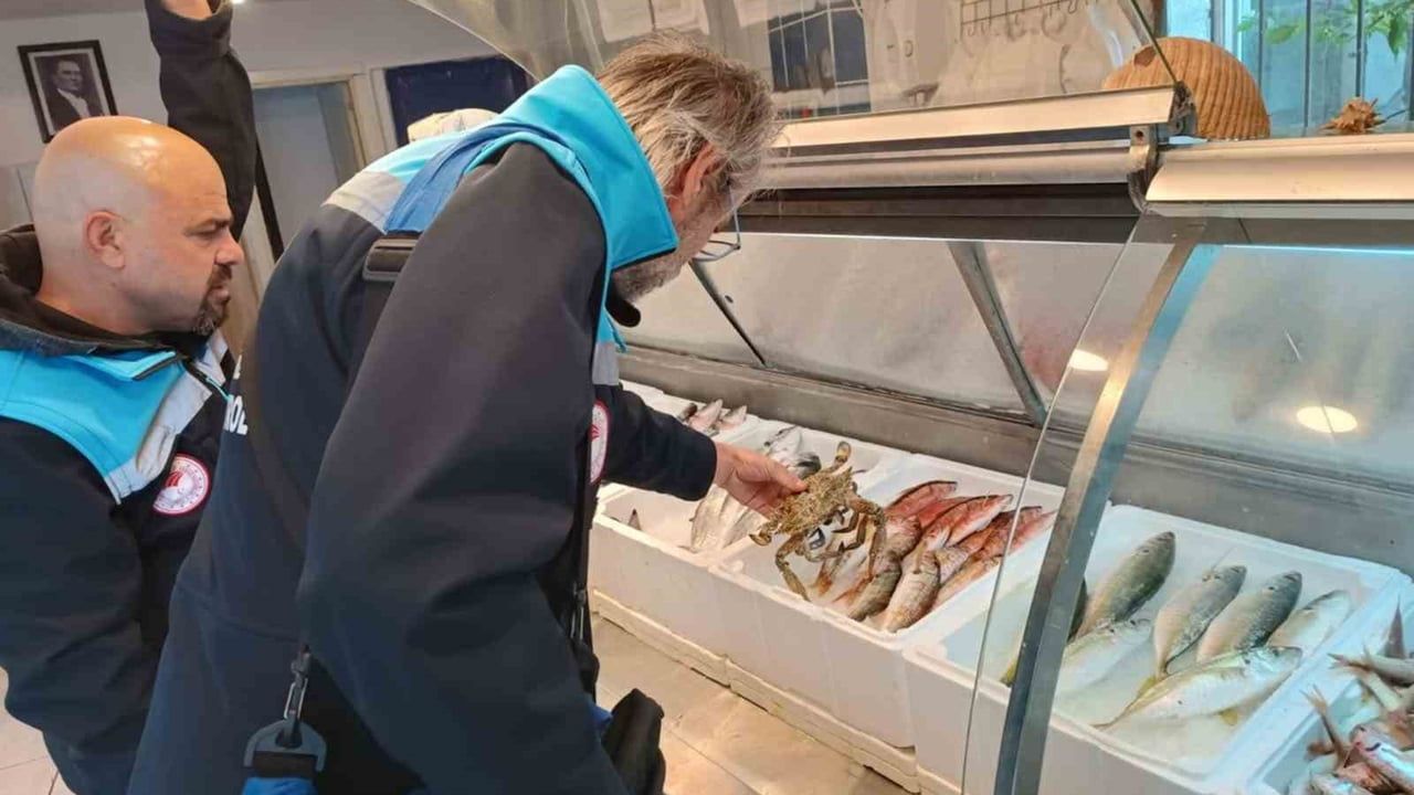 Muğla'da 6 İşletmeye 379 Bin TL Ceza