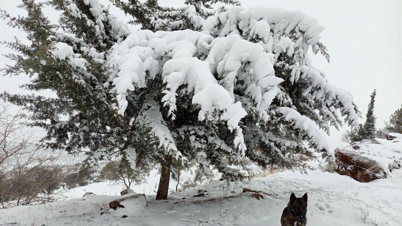 Musabeyli'de Kar Yağışı Etkili Oldu