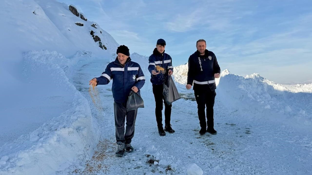 Mutki Belediyesi Yaban Hayatını Korumak İçin Çalışmalara Devam Ediyor