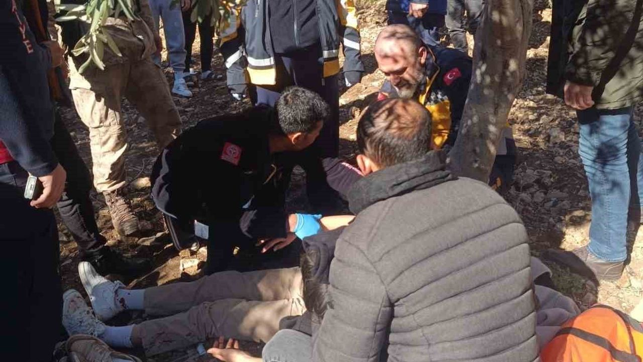 Öğrenci Servisi Zeytinliğe Uçtu: 5 Yaralı