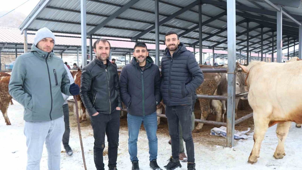 Oltu Canlı Hayvan Pazarı Soğuk Havalara Rağmen Canlı