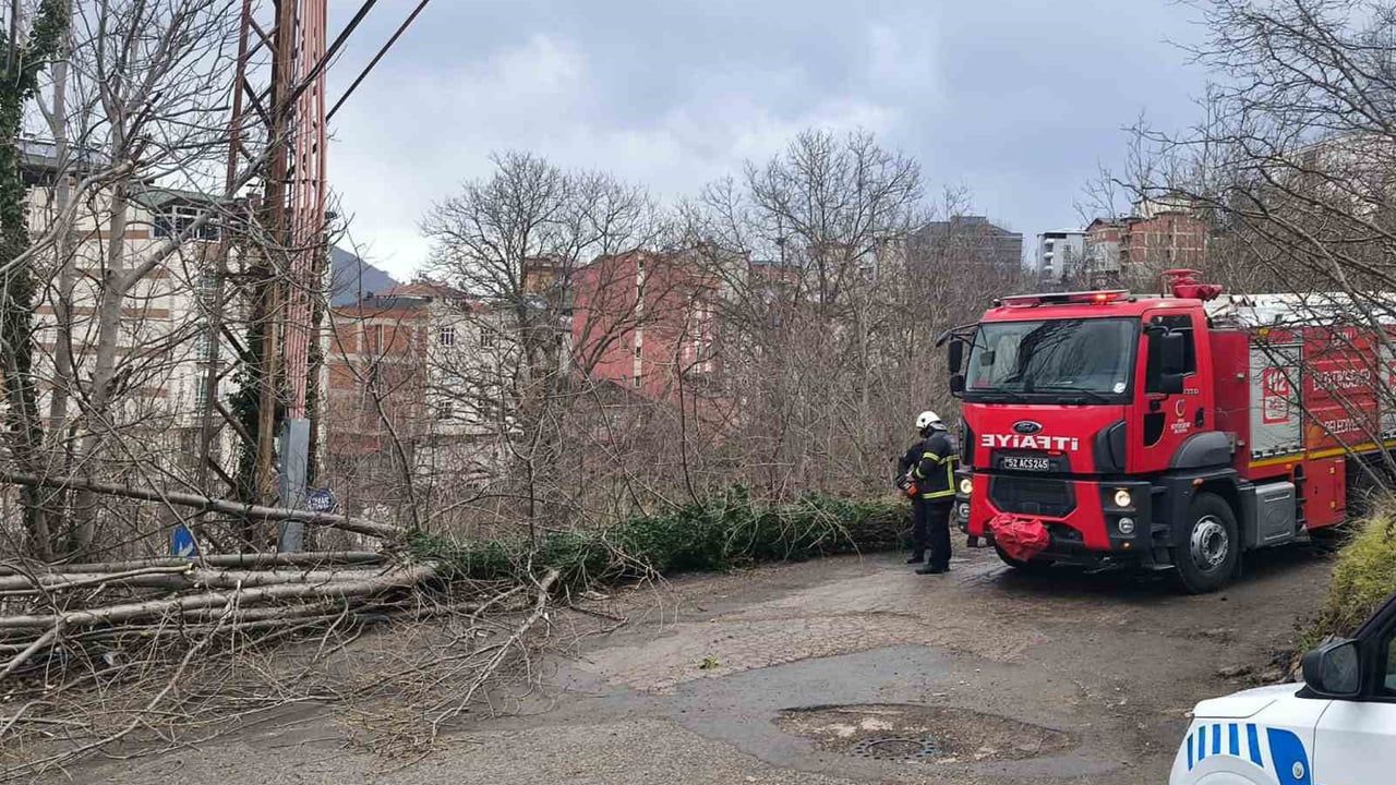 Ordu'da Şiddetli Fırtına Çatı Uçurdu ve Ağaç Devrildi