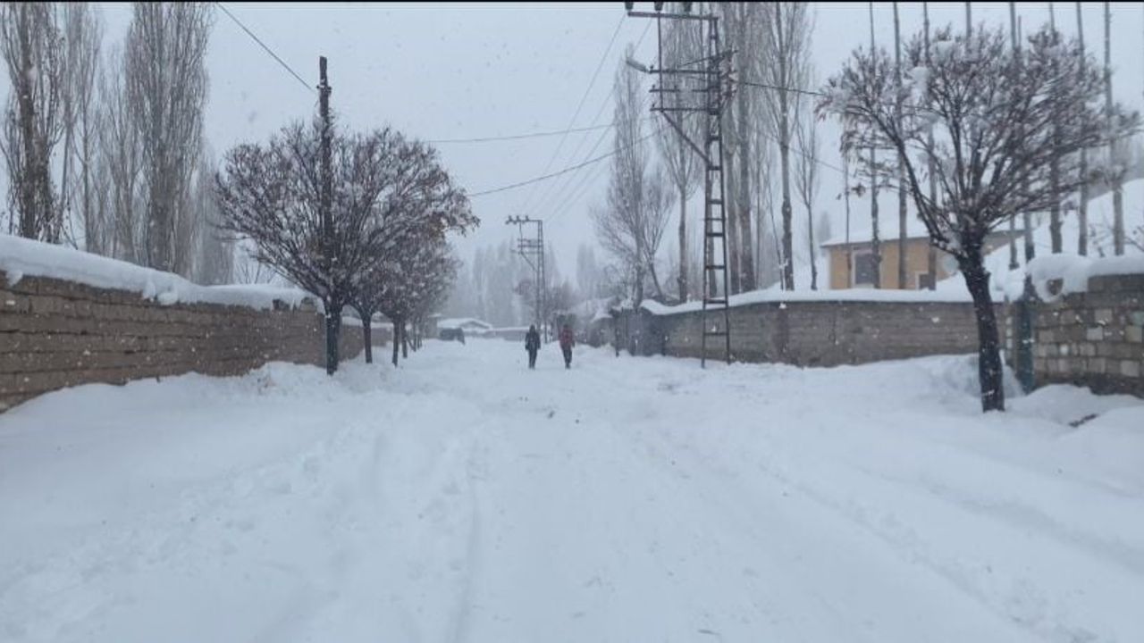 Patnos'ta Kar Yağışı Yeniden Etkili