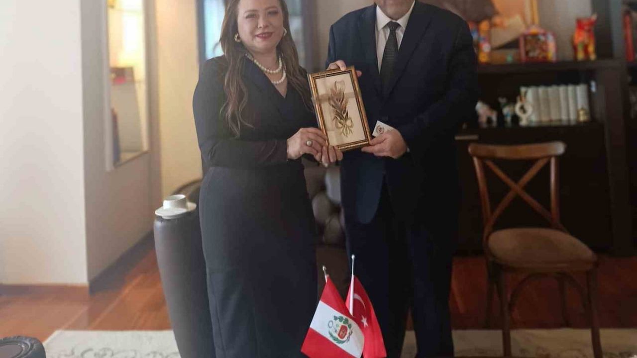 Peru ve Türkiye Arasında Sağlık Turizmi ve Ticaret İş Birliği Görüşmeleri