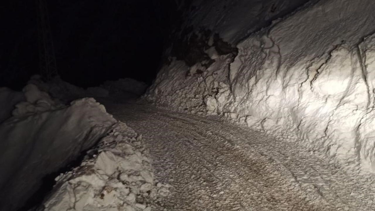 Pervari’de Çığdan Etkilenen Yol Yeniden Ulaşıma Açıldı