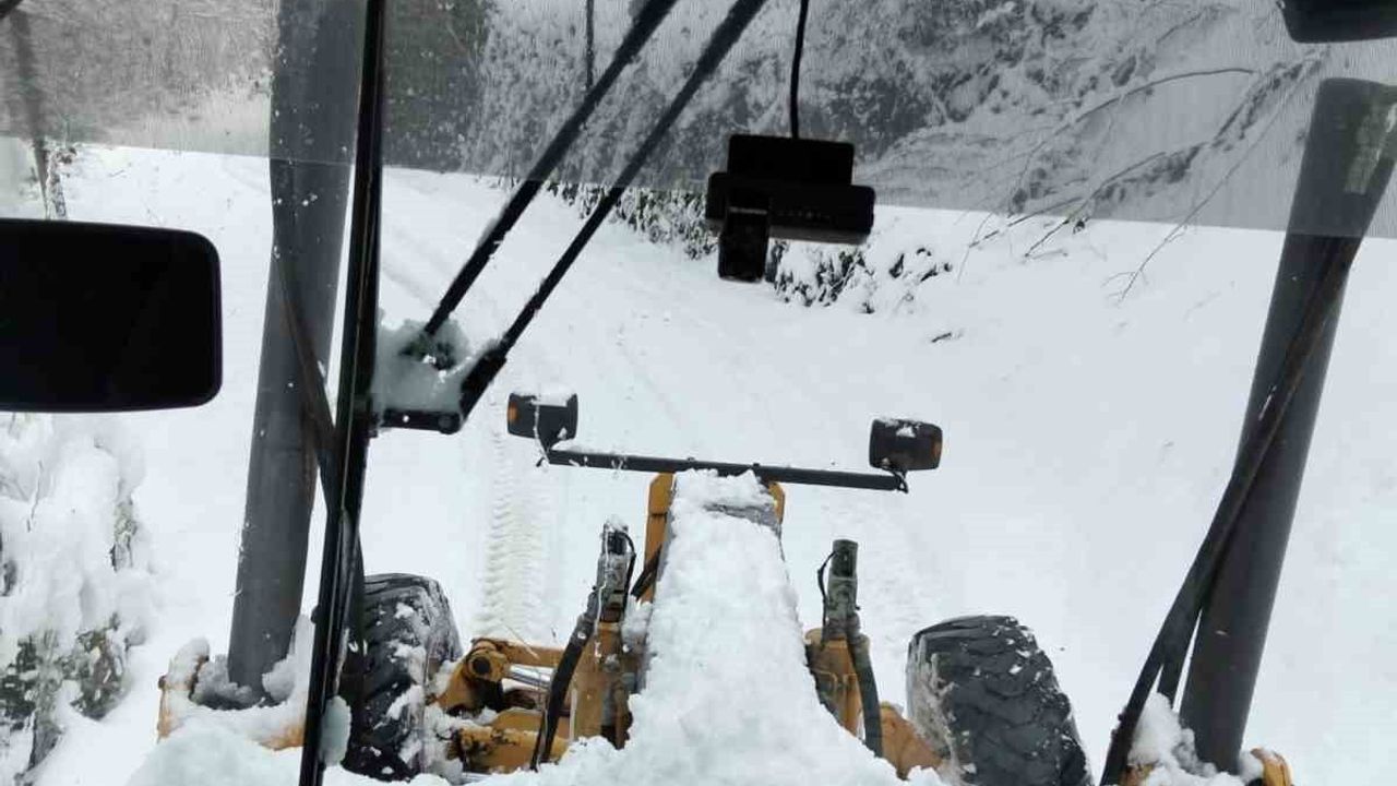 Rize'de 59 Köy Yolu Kar Nedeniyle Kapandı