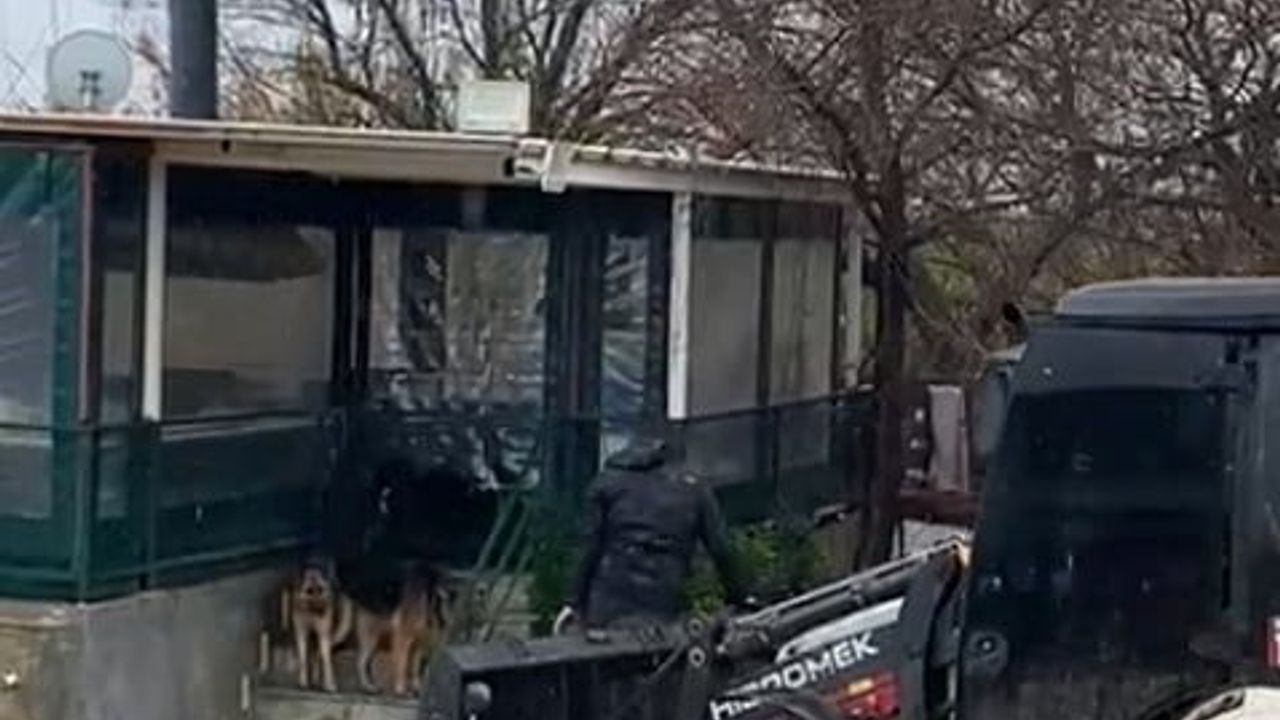 Sağanak Yağış Sonrası Mahsur Kalan 4 Köpek Kurtarıldı