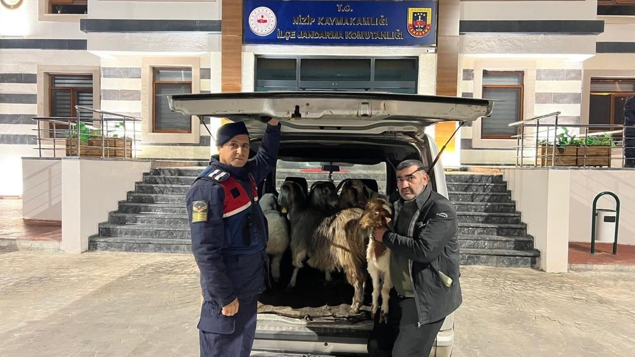 Sahte Para ile Hayvan Dolandırıcılığı: 3 Şahıs Yakalandı