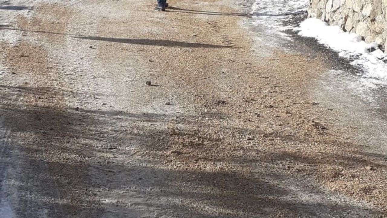 Saimbeyli'de Karla Mücadele Çalışmaları Devam Ediyor