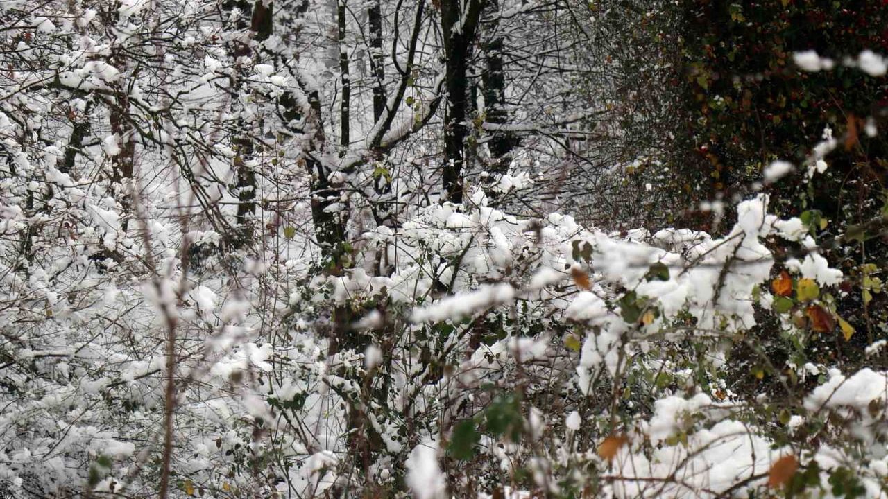 Sakarya'da Kar Yağışıyla Oluşan Büyüleyici Manzara