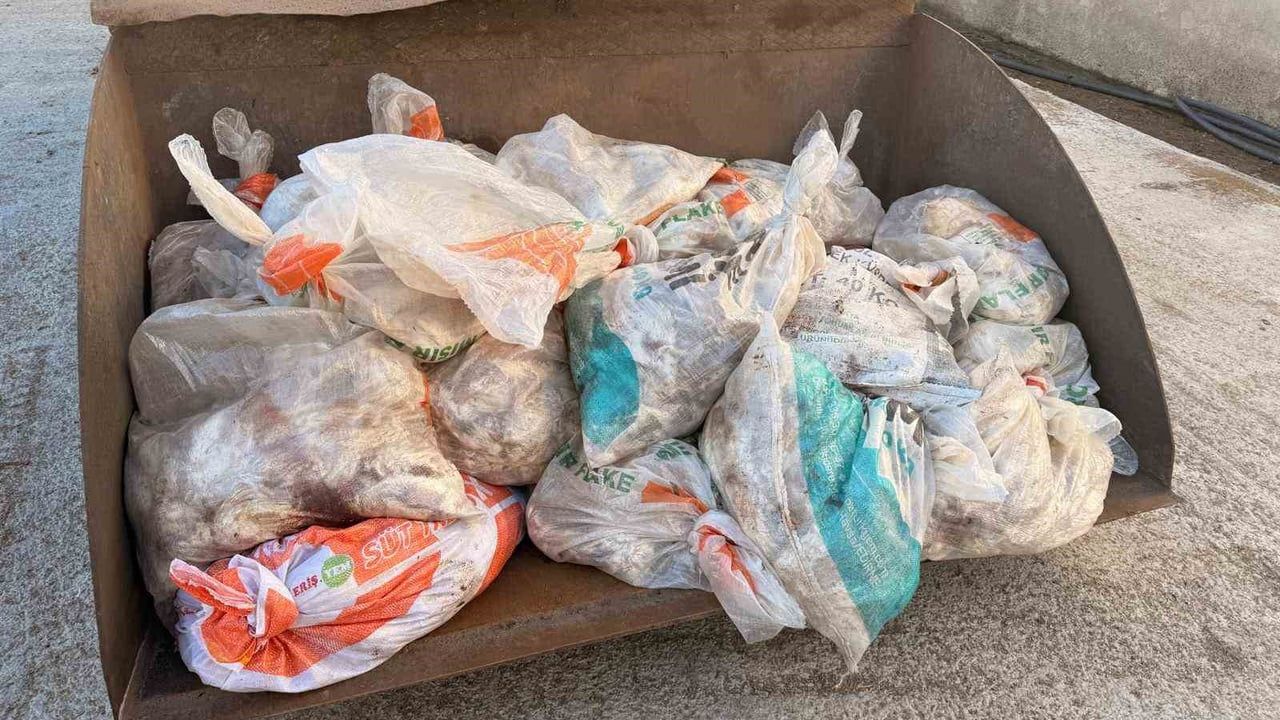 Sakarya'da Tavuk Çiftliğine Biyogüvenlik Kısıtlaması Uygulandı