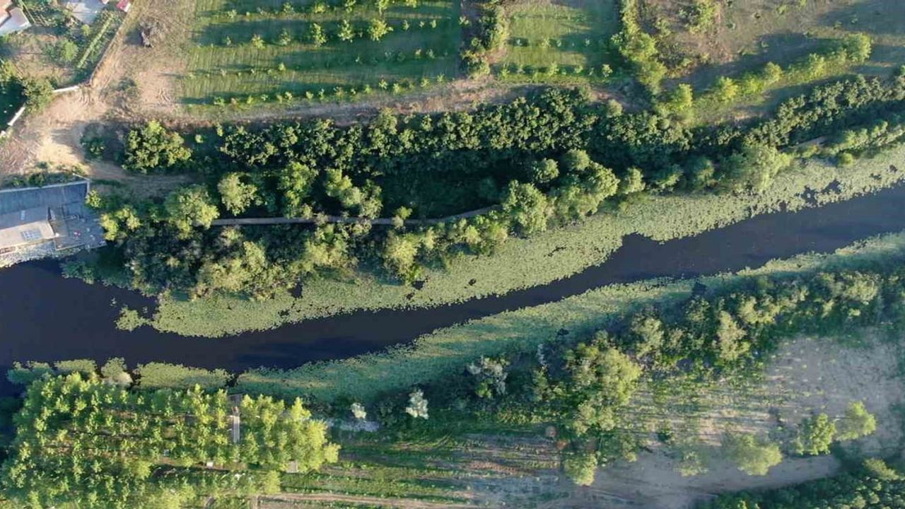 Sakarya'nın Doğal Güzellikleri İki Yılda 605 Bin Ziyaretçi Ağırladı