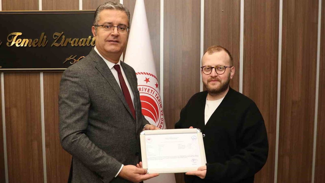 Samsun'da Ari İşletme Sayısı 12'ye Ulaştı