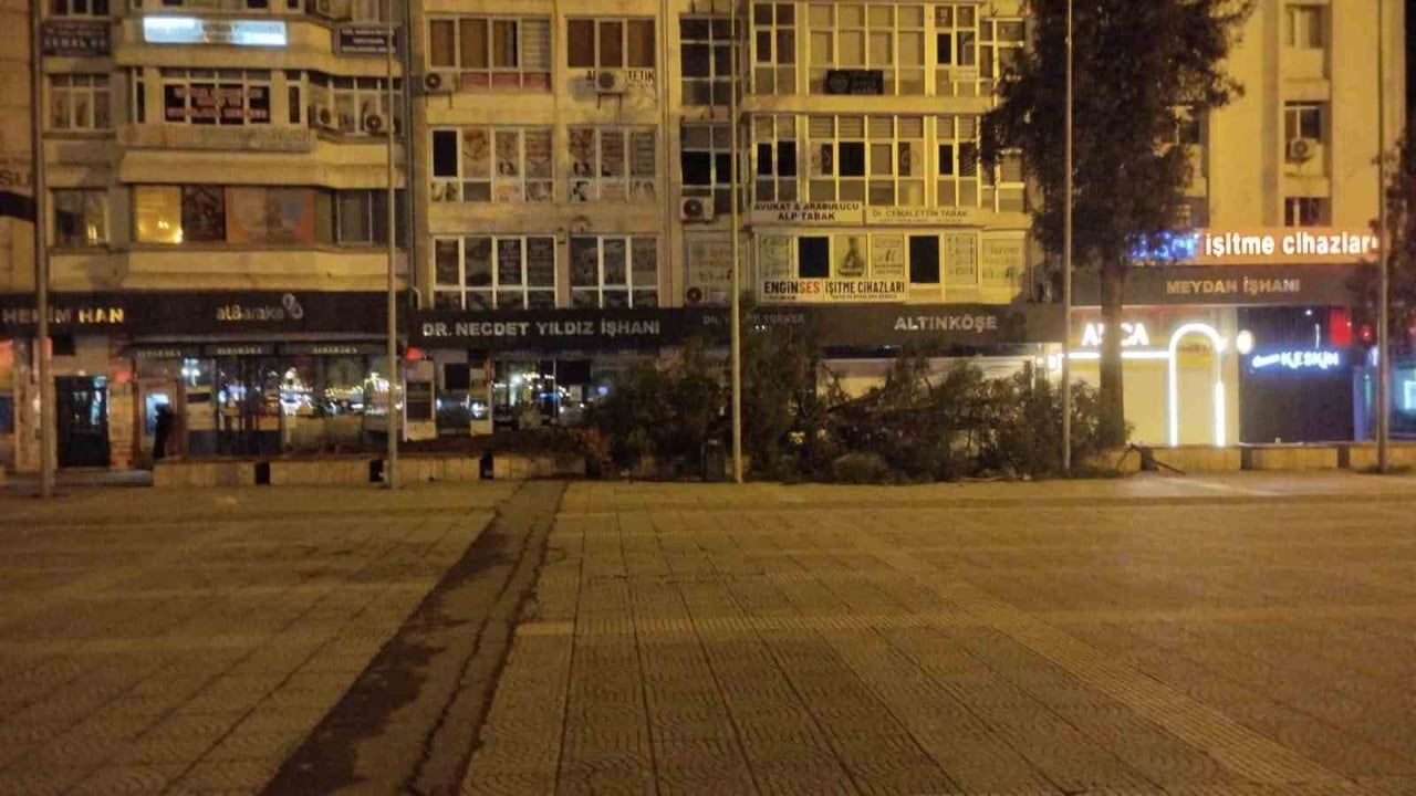 Samsun'da Kuvvetli Fırtına Ağaç Devirdi