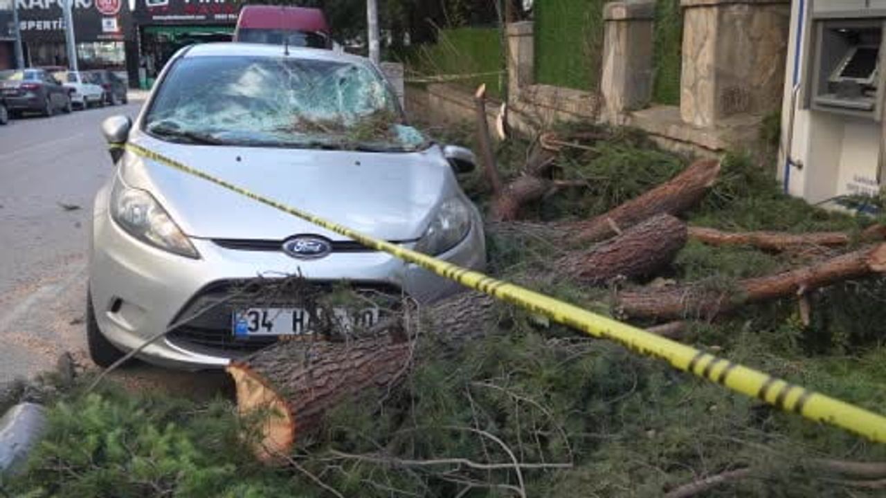 Samsun'daki Fırtına Park Halindeki Araca Zarar Verdi