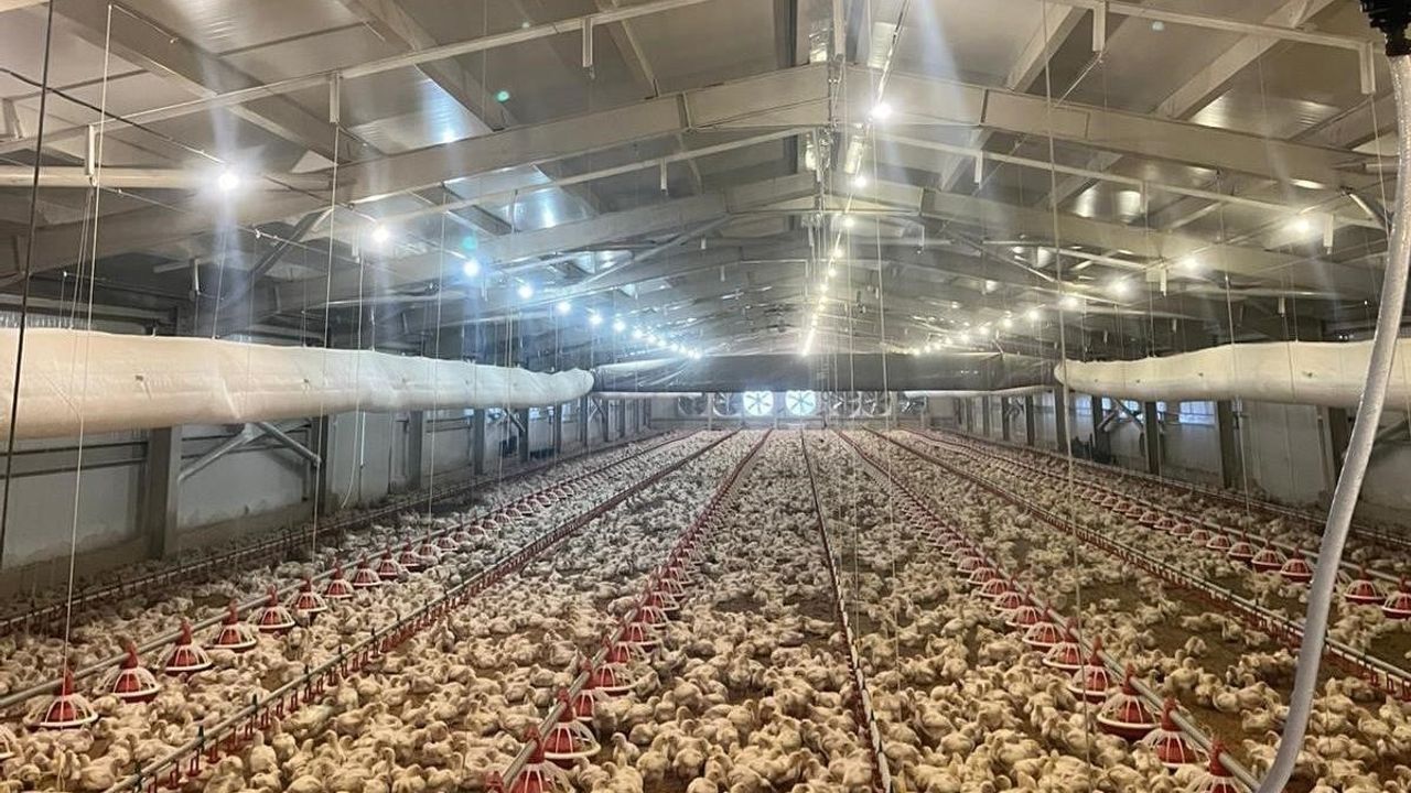 Samsun Kırsal Kalkınma Projeleri: 33,6 Milyon Liralık Destek