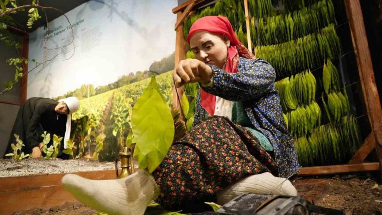 Samsun Müzeleri 2025'te Yarım Milyonu Aştı