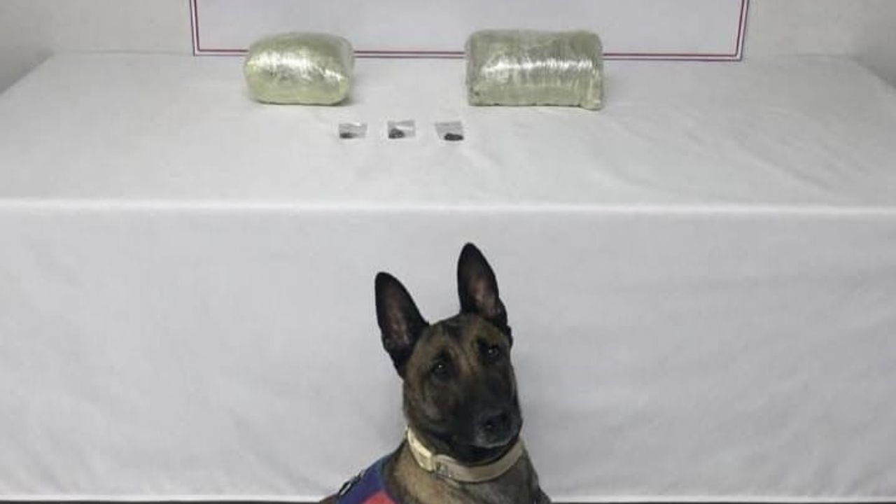 Şanlıurfa'da 2 Kilogram Uyuşturucu Madde Ele Geçirildi