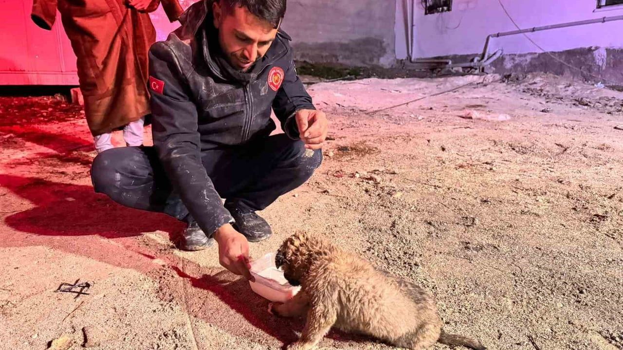 Şanlıurfa'da Sondaj Kuyusuna Düşen Yavru Köpek Kurtarıldı