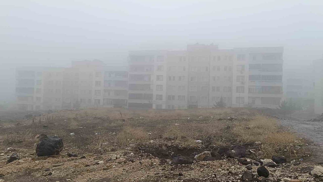 Şanlıurfa'da Yoğun Sis ve Yağmur Etkili