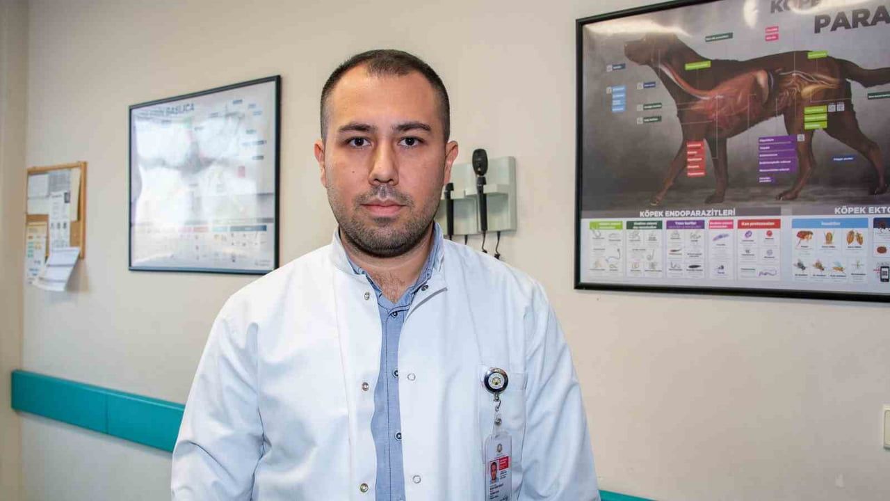 Şap Hastalığıyla Mücadelede Aşılama Kritik Öneme Sahip