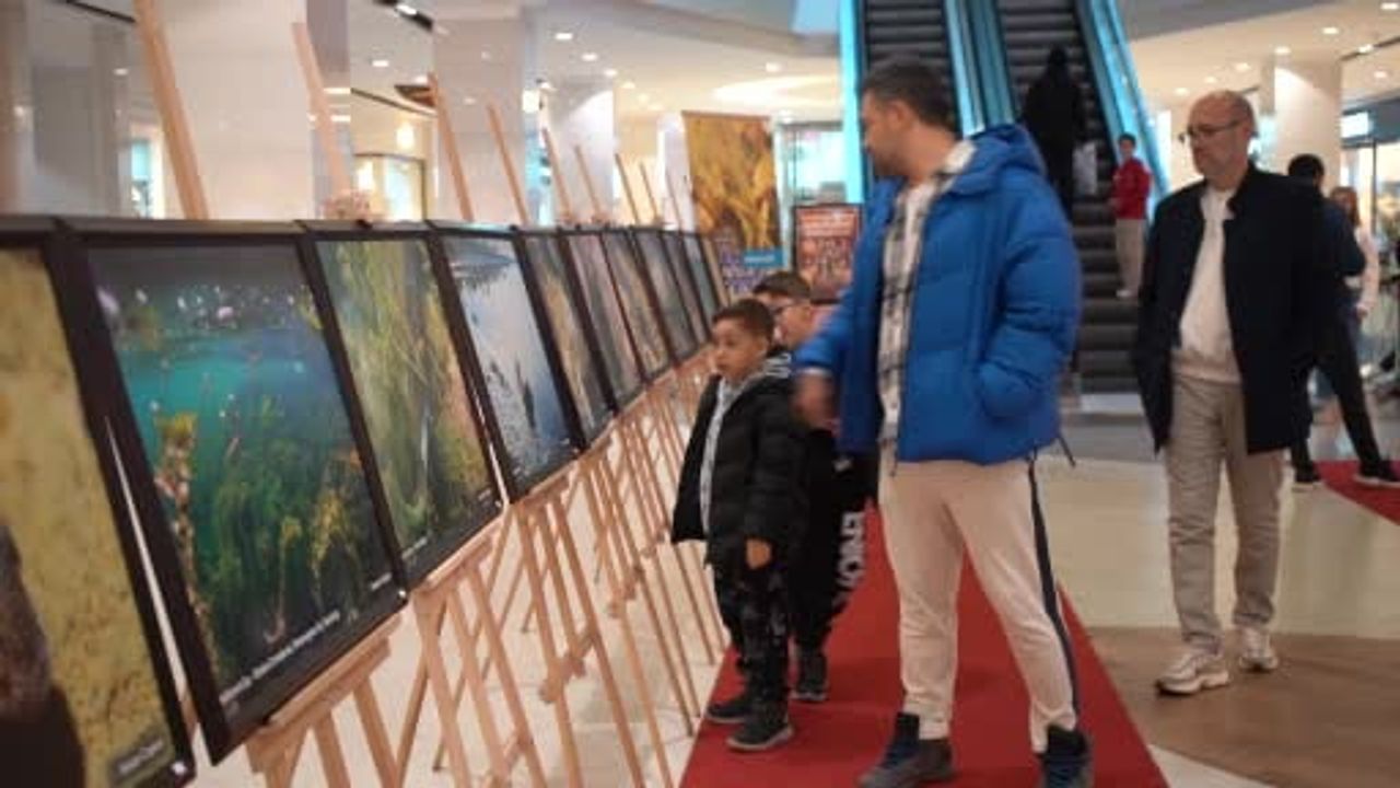 Sapanca Gölü'nden Gazze'ye Umut: Fotoğraf Sergisi