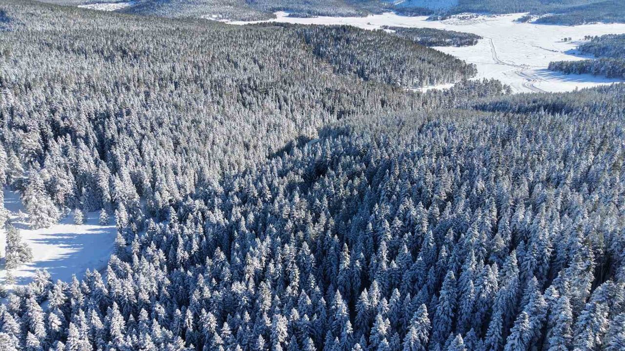 Sarıalan Yaylası'nda Kış Manzaraları