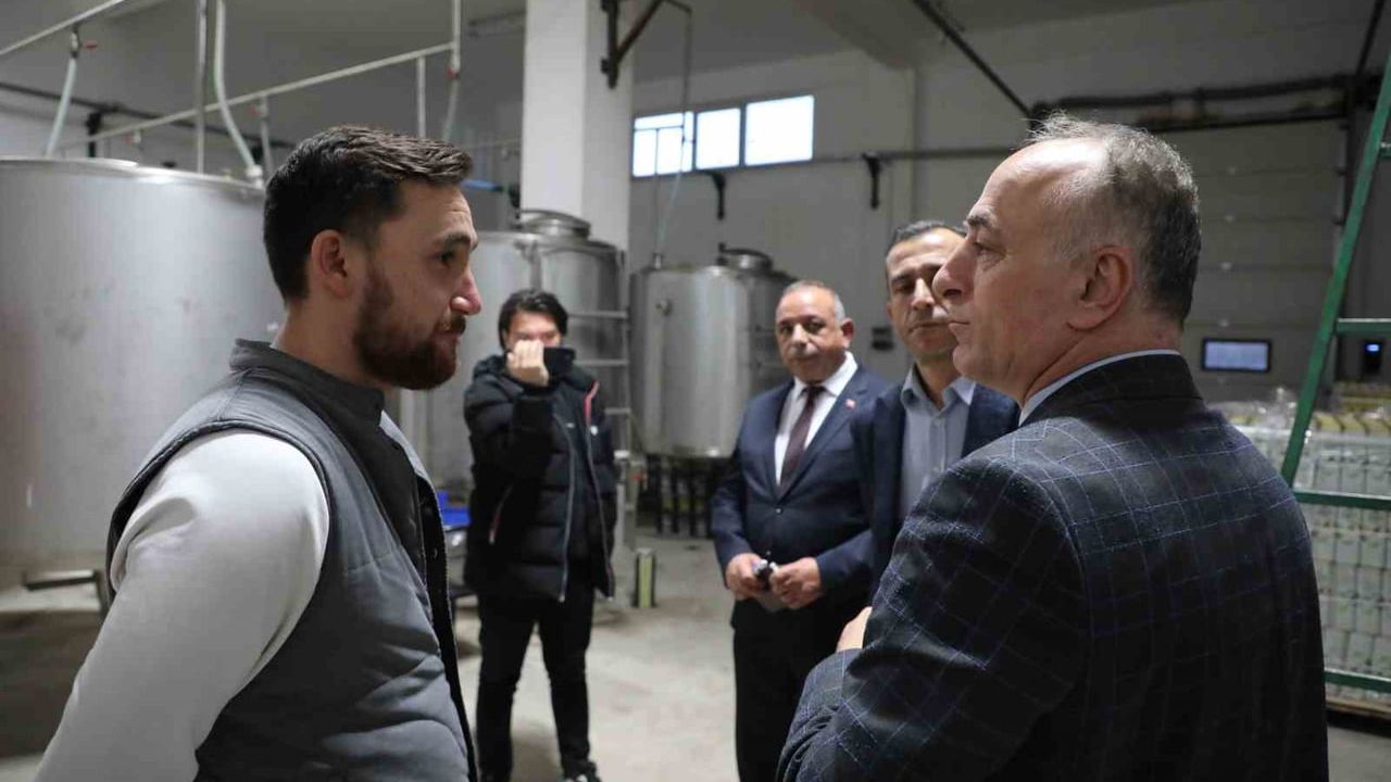 Sarıcakaya'da Zeytin ve Zeytinyağı Üretiminde Hızlı Artış