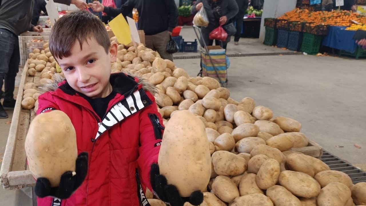 Sarıgöl Pazarında Dev Patatesler Göz Doldurdu