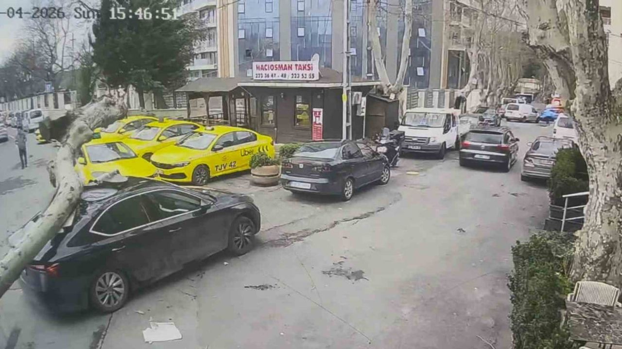 Sarıyer'de Rüzgarın Gücü: Çınar Ağacı Otomobilin Üzerine Devrildi