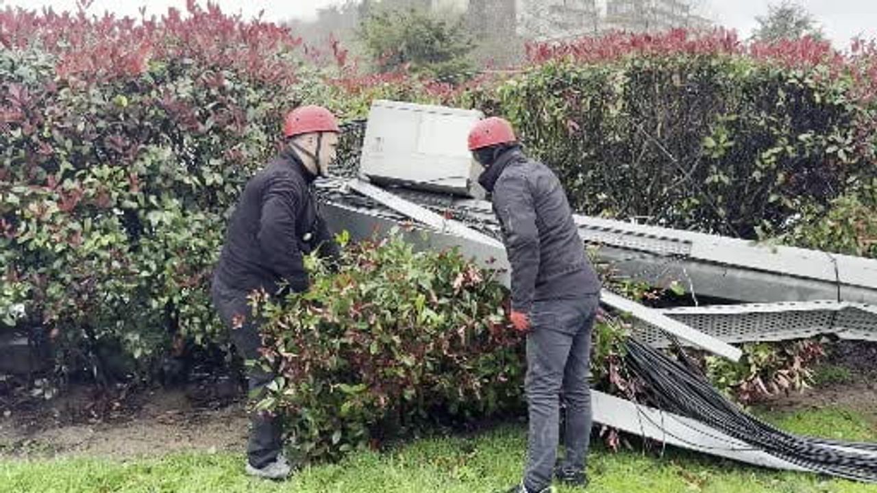 Sarıyer'deki Fırtına, Ağaç ve Baz İstasyonunu Devirdi