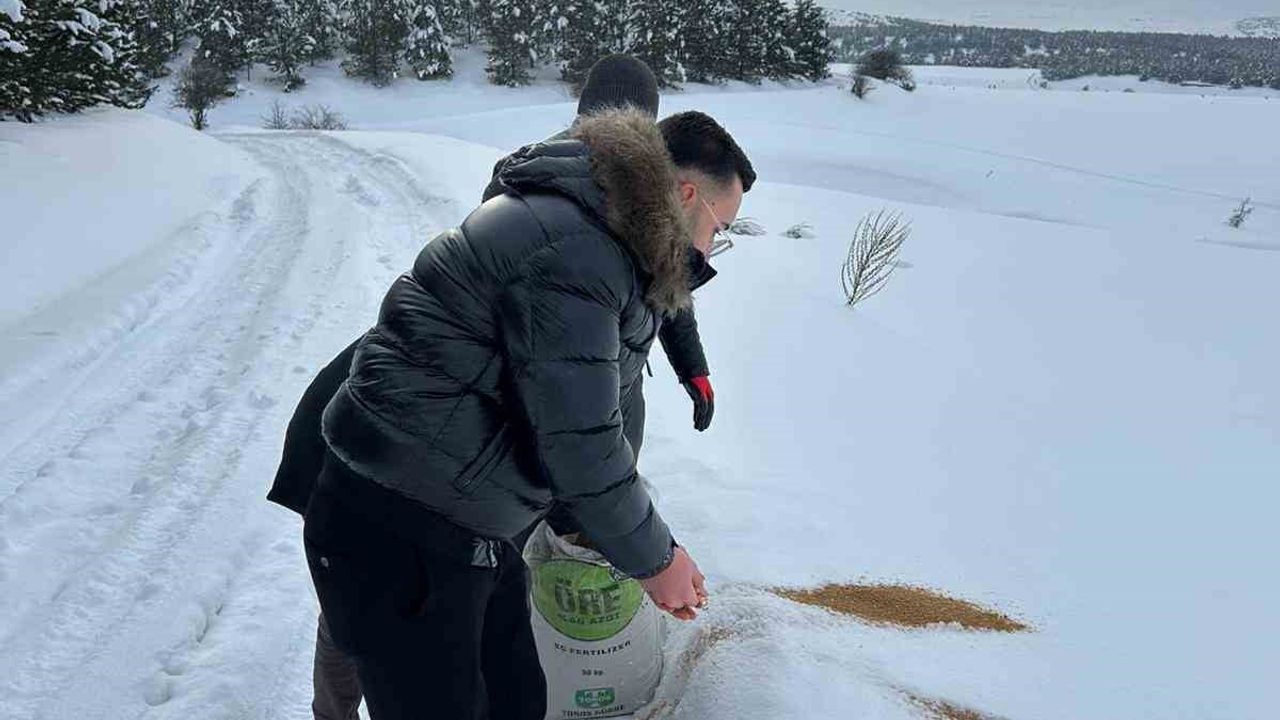 SCÜ'den Yabani Hayvanlara Destek