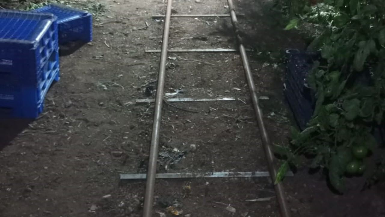 Serik Üreticileri Yeni Yıla Don Nöbetiyle Girdi