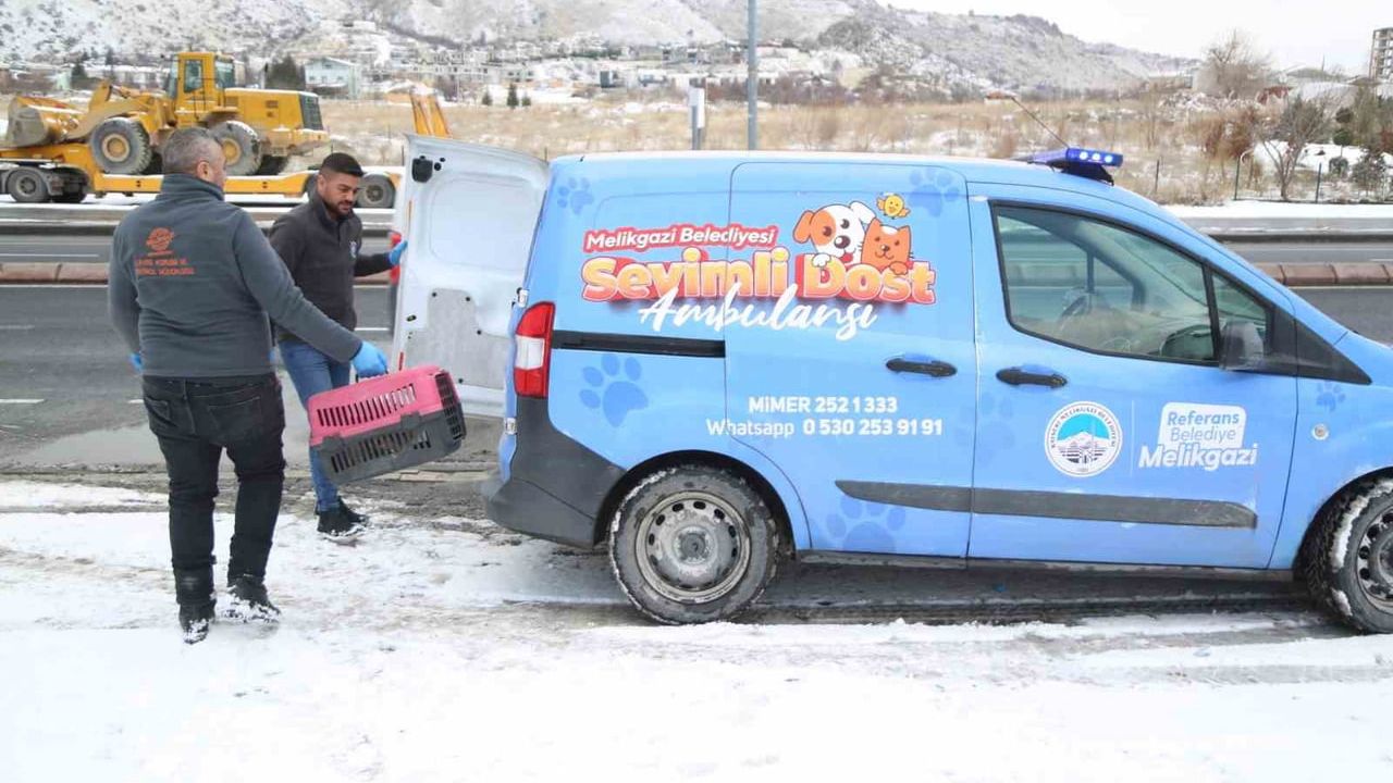 Sevimli Dost Ambulansı, Sokak Hayvanlarını Kurtarıyor