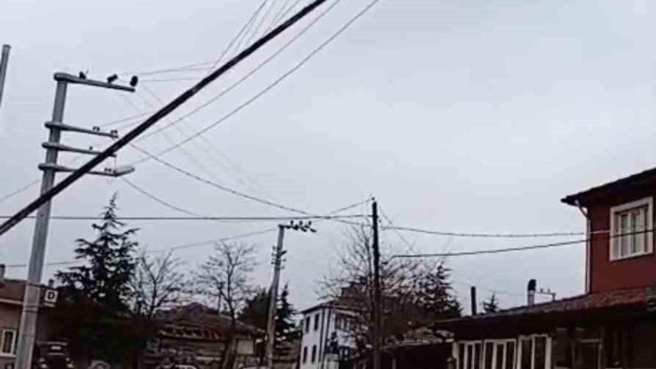 Seyitgazi'de Fırtına Sonucu Bayrak Direği Elektrik Tellerine Devrildi