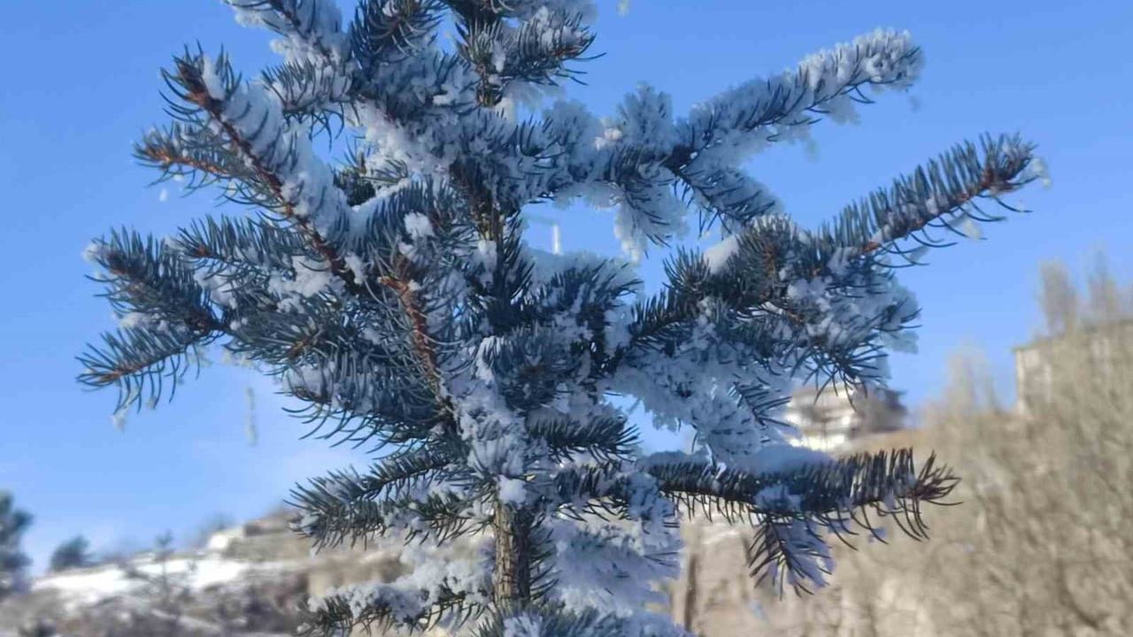 Sibirya Soğukları Ardahan'ı Vurdu