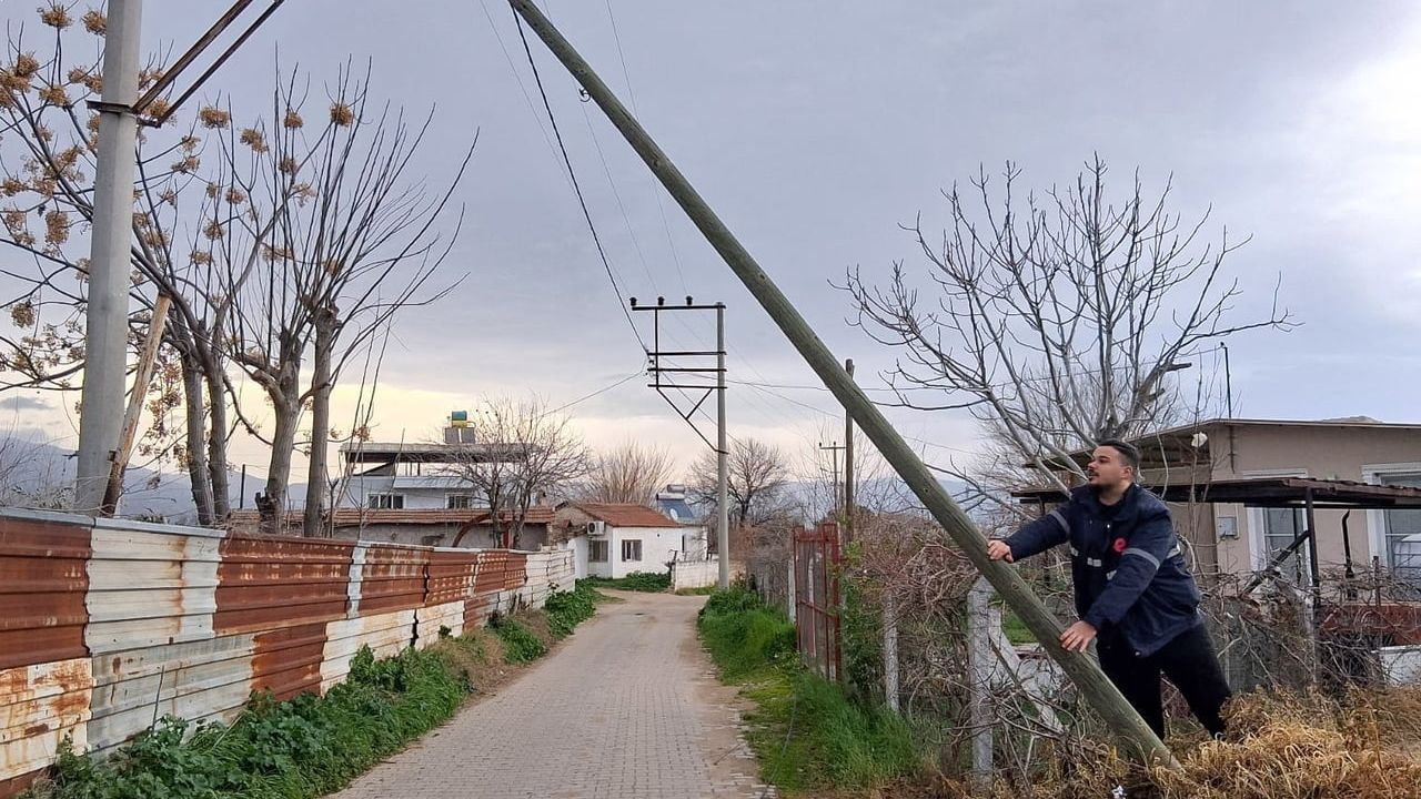 Şiddetli Fırtına Çam Ağacını Devirdi: Facia Önleniyor