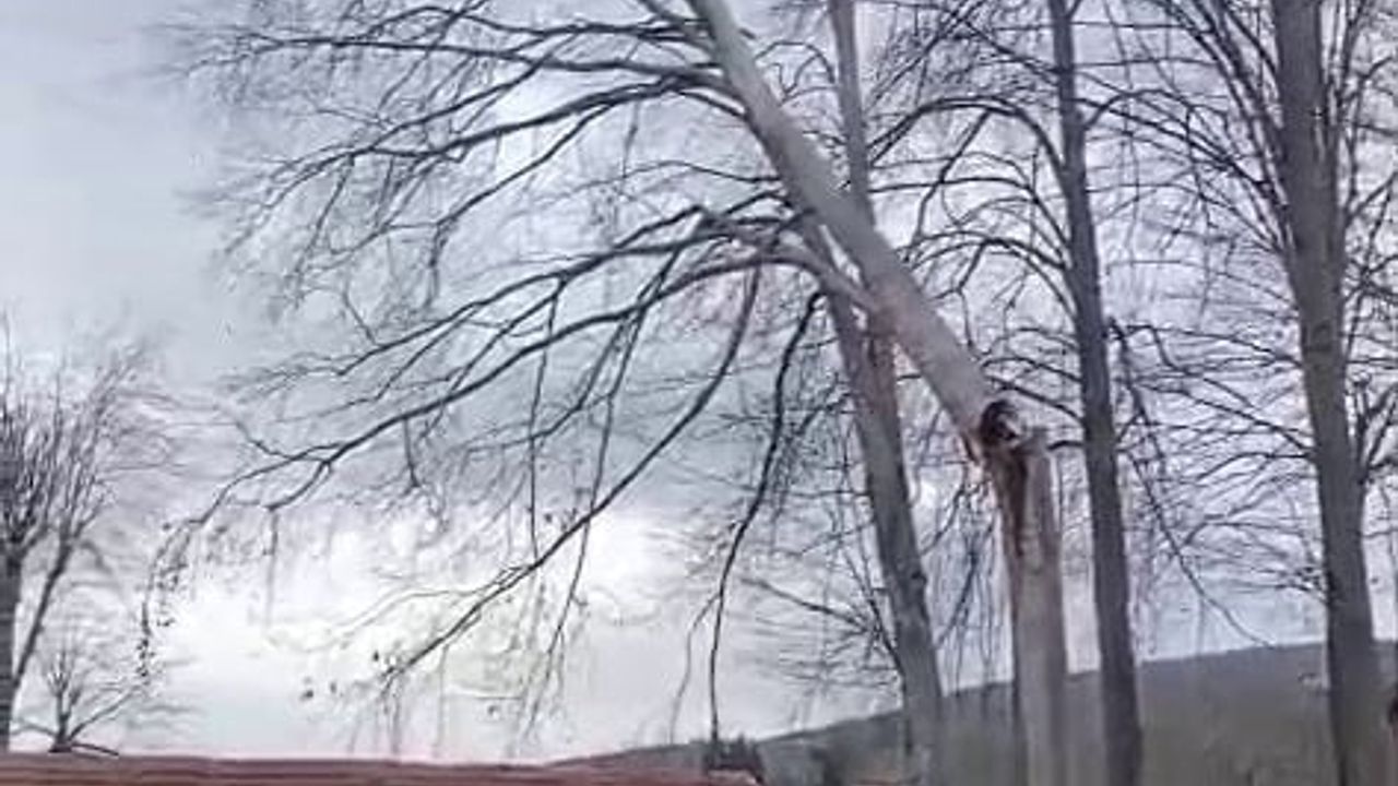 Şiddetli Rüzgar Hendek'te Zarar Verdi