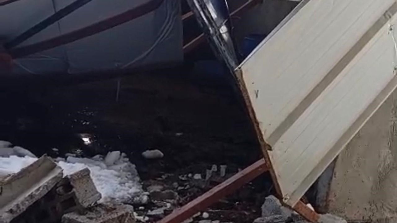 Siirt'te Çöken Çatı 5 Buzağıya Mal Oldu