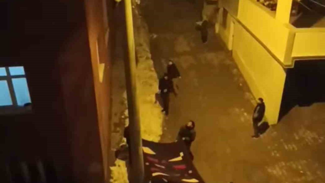 Siirt'te Mahsur Kalan Kedi, Mahallelinin Yardımıyla Kurtarıldı