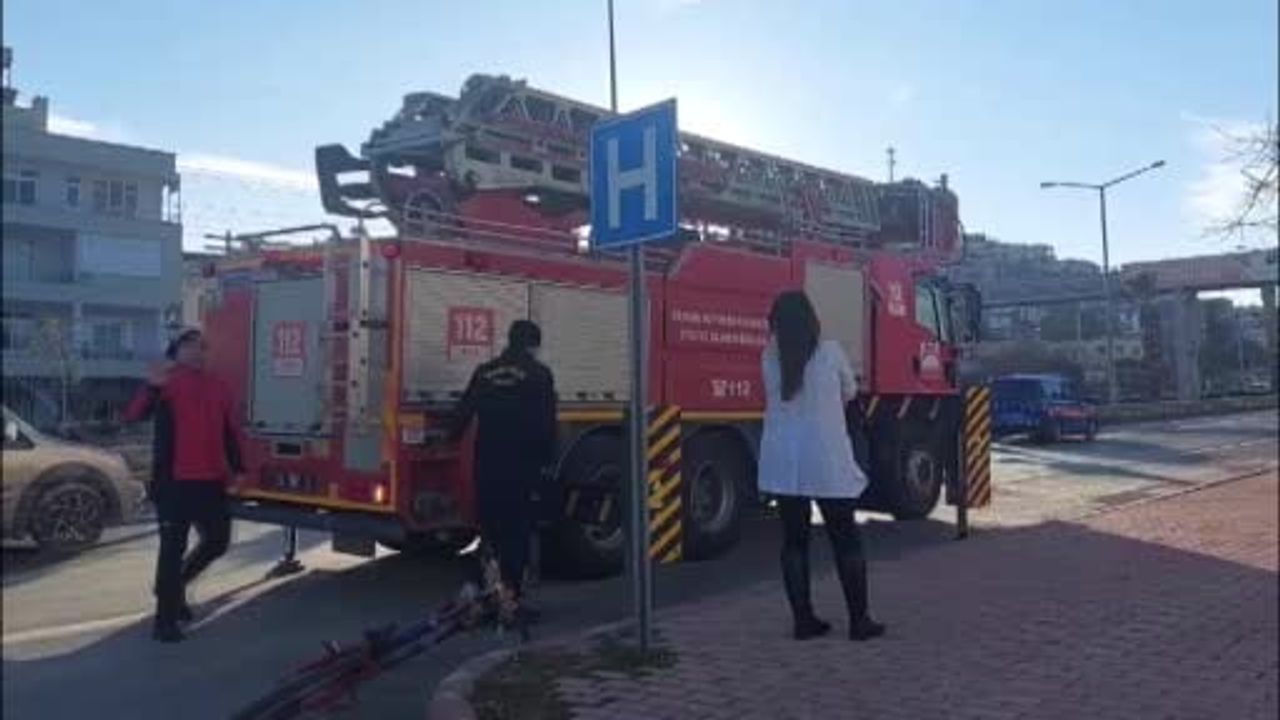 Silifke'de Mahsur Kalan Sokak Kedisi Kurtarıldı