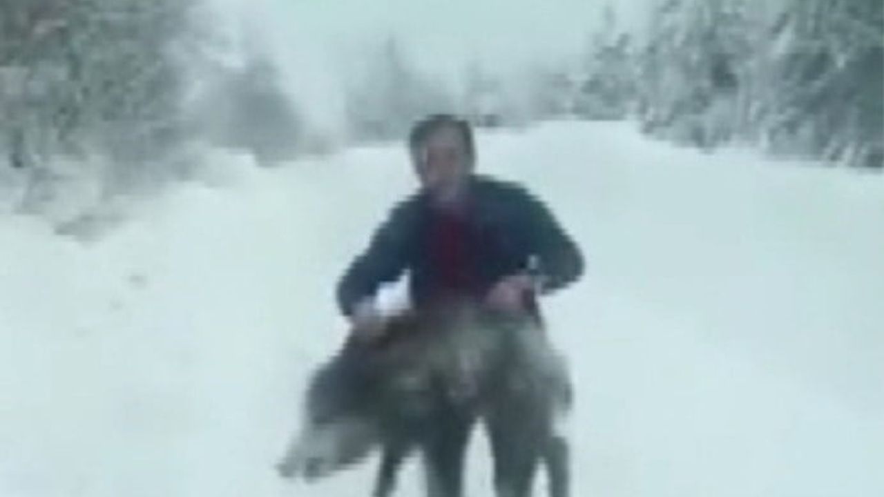 Sinop'ta Bir Vatandaşın Cesareti: Yaban Domuzunu Eliyle Yakaladı