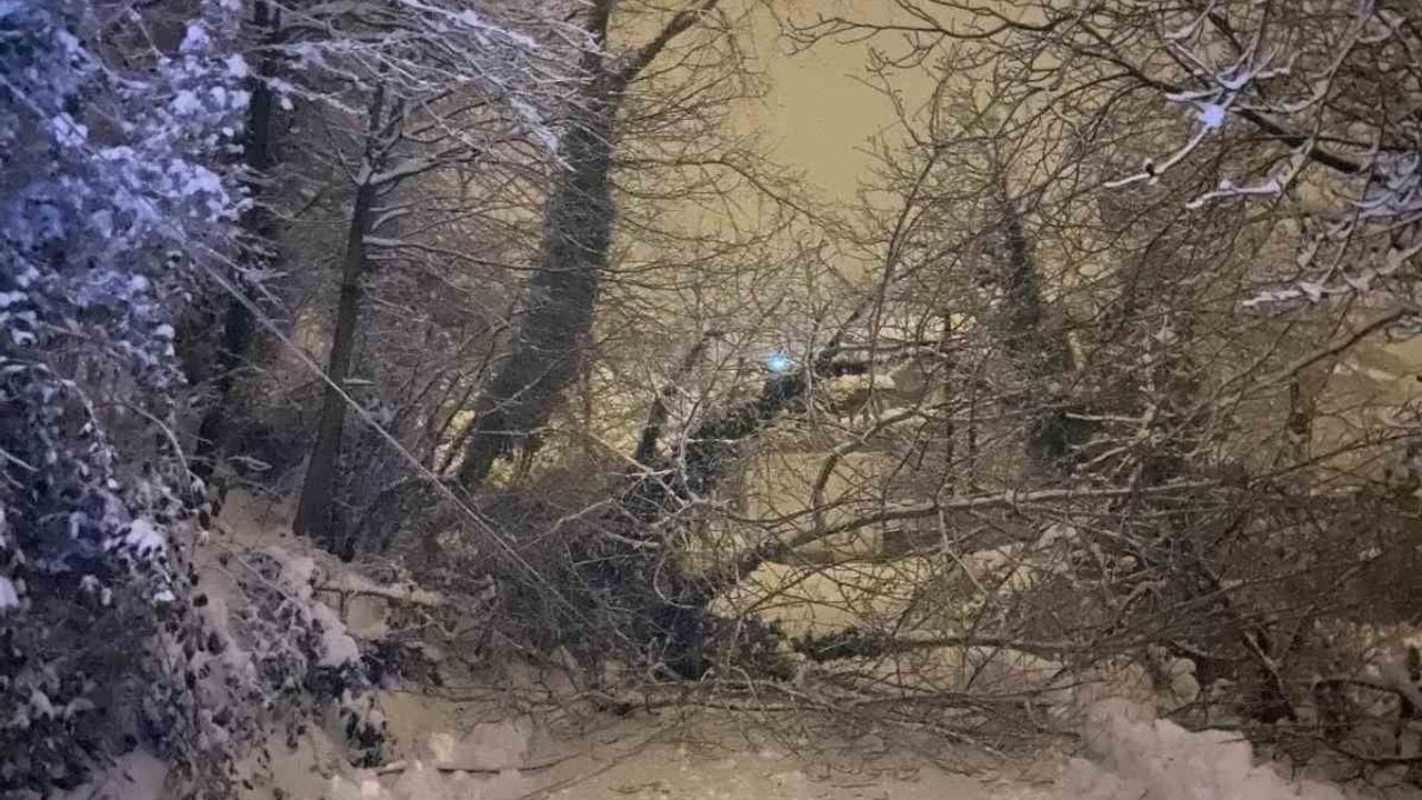 Sinop'ta Kar Yağışı Hayatı Felç Etti