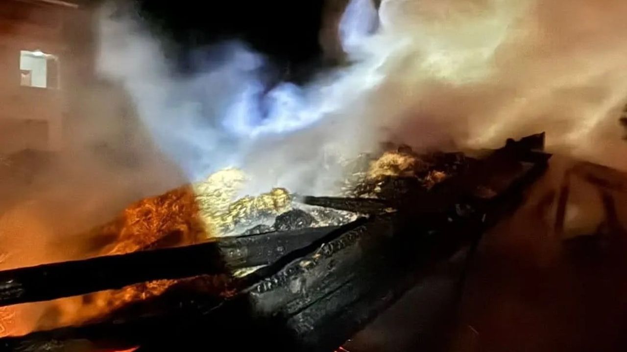 Sinop'ta Yangın Paniği: Samanlık Alev Alev Yandı