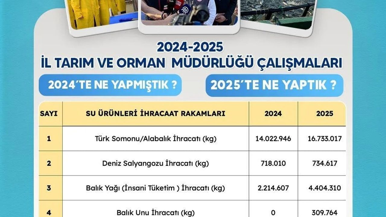 Sinop'un İhracat Hedefleri: 2025 Yılına Yükseliş