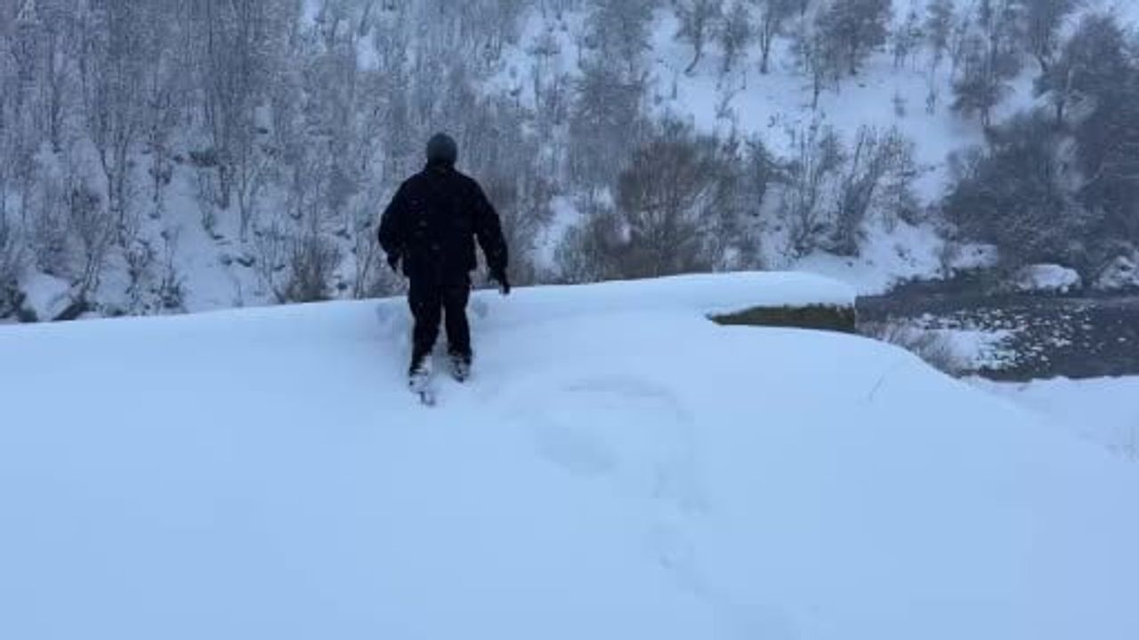 Şırnak'ta 12 Köpek Yavrusu Donmaktan Kurtarıldı