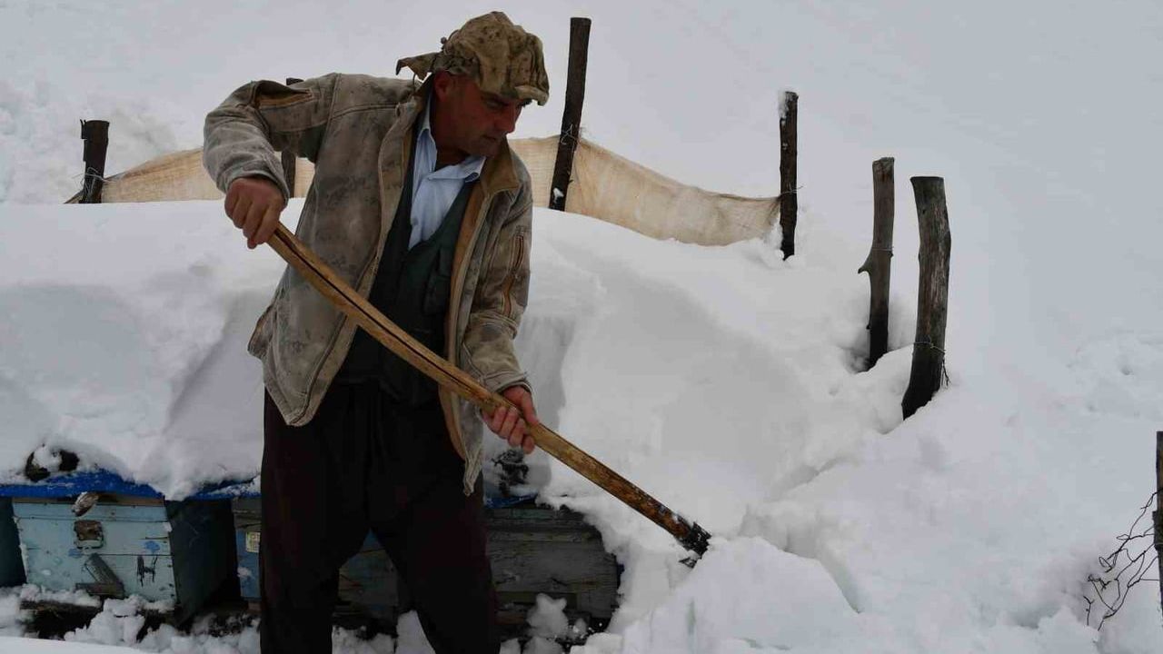 Şırnak'ta Çığ Altında Kalan Bal Arıları Kurtarıldı