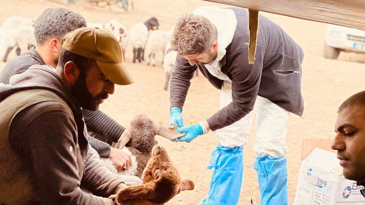 Şırnak'ta Hayvancılıkta 2025 Vizyonu