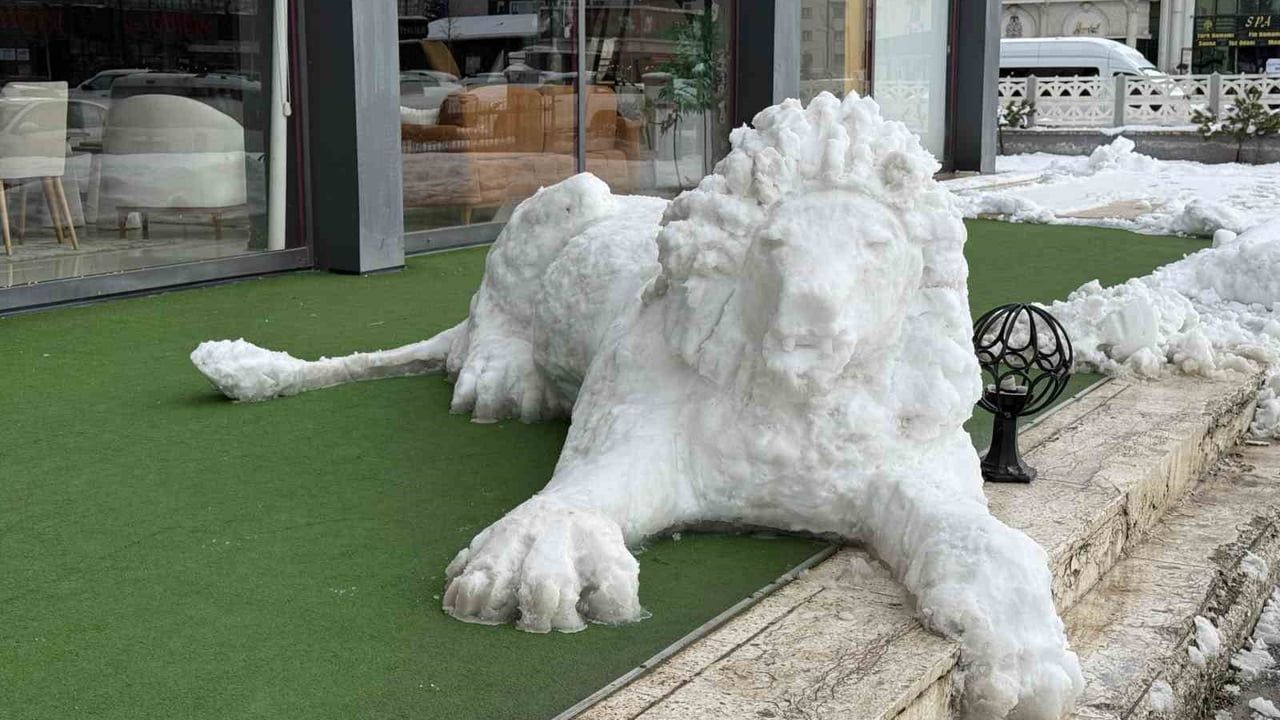 Sivas'ta Yetenekli Bir Sanatçı: Kardan Aslan