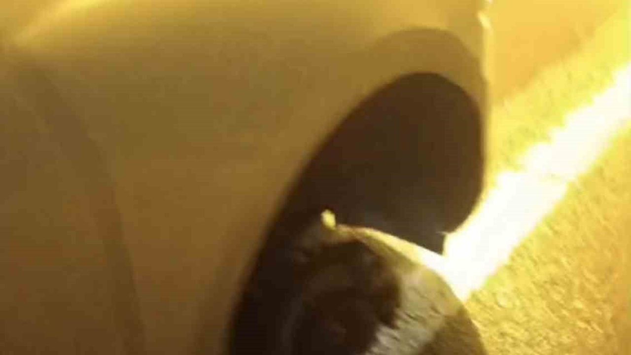 Siverek-Diyarbakır Yolundaki Derin Çukur Araçlara Zarar Verdi